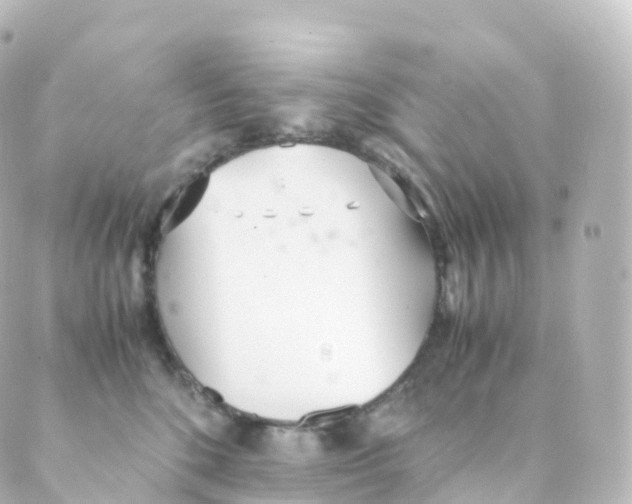 X0000088640520200706221549