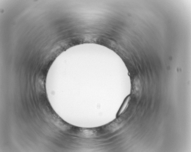 X0000088640522200706221549