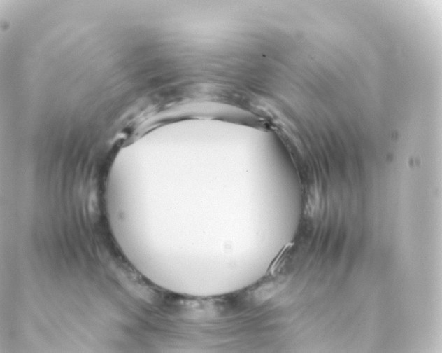 X0000088640524200706221549