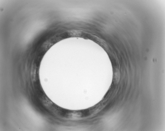 X0000088640525200706221549