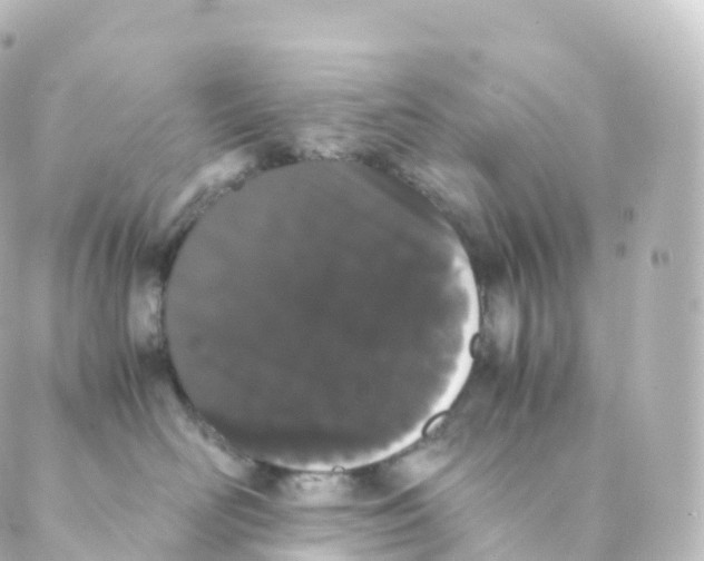 X0000088640526200706221549