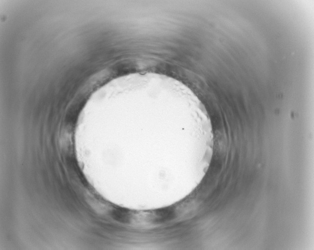 X0000088640527200706221549