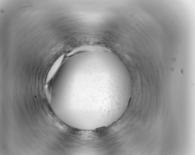 X0000088640528200706221549