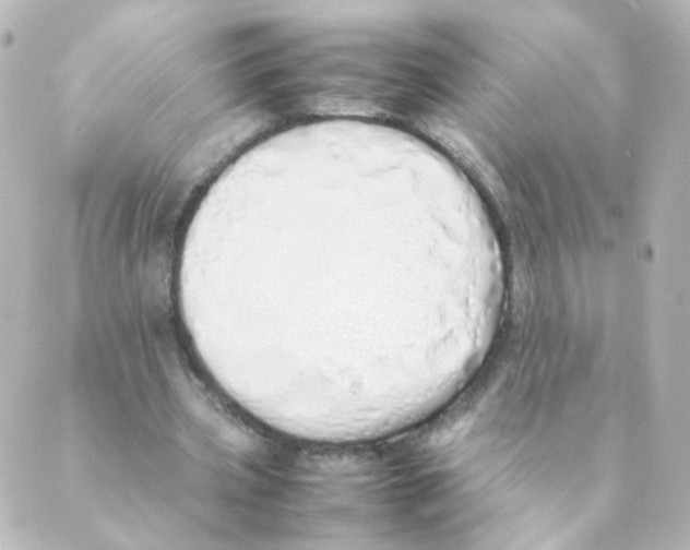 X0000088640533200706221548