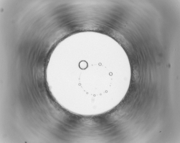 X0000088640534200706221548