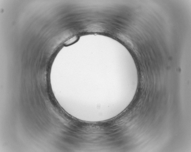 X0000088640535200706221548