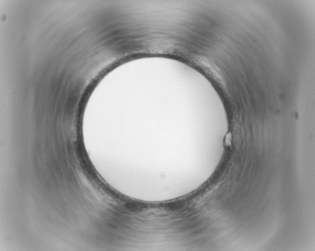 X0000088640536200706221548