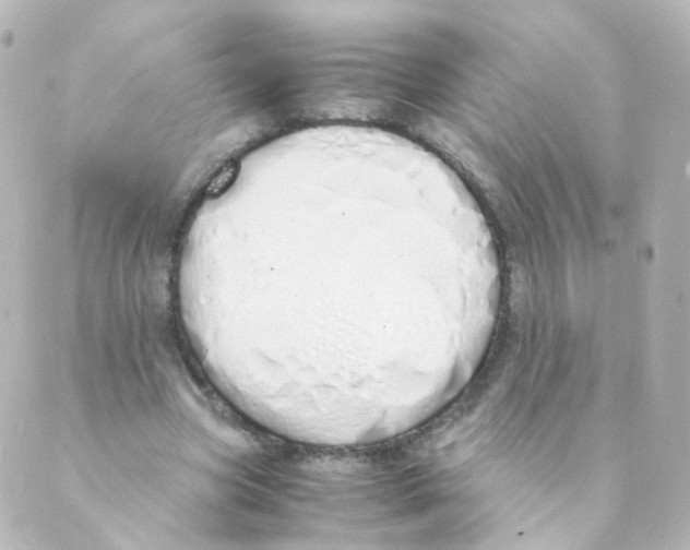 X0000088640537200706221548