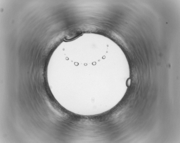 X0000088640538200706221548