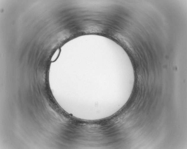 X0000088640539200706221548