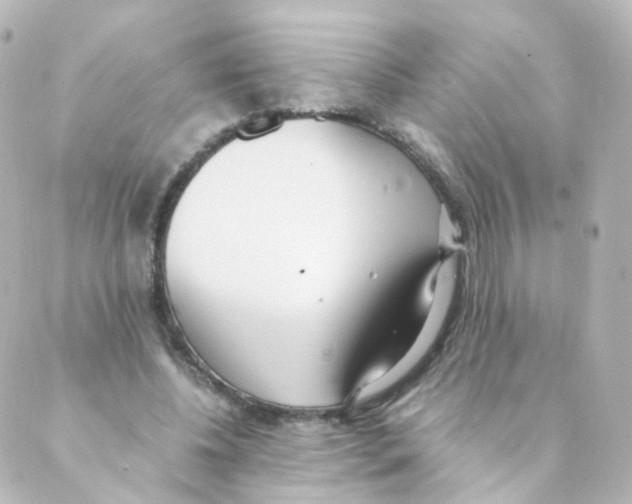 X0000088640540200706221548