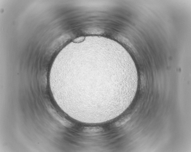 X0000088640541200706221548