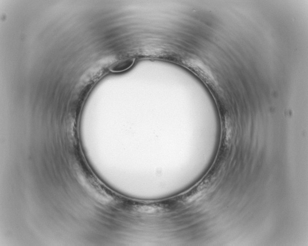 X0000088640542200706221548