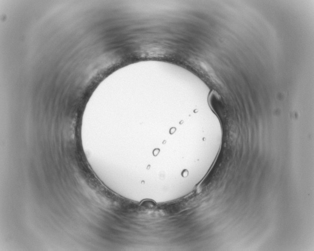 X0000088640543200706221548