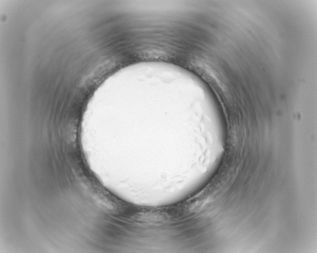 X0000088640545200706221548