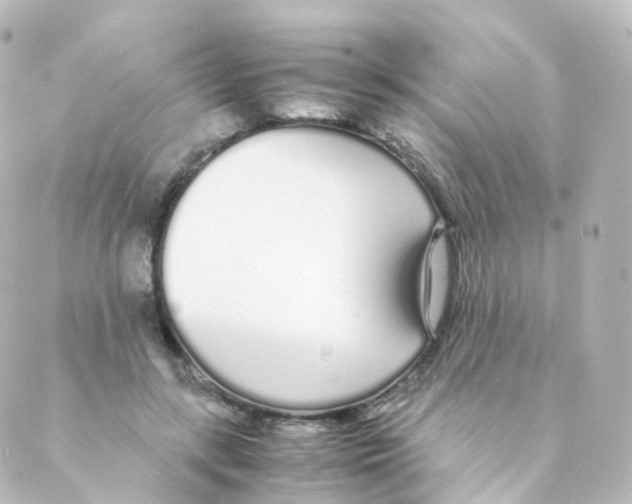 X0000088640547200706221548