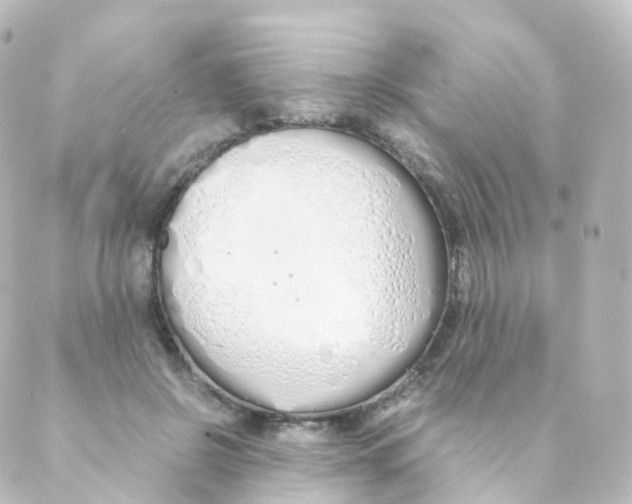 X0000088640550200706221548