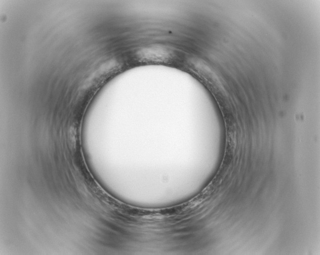 X0000088640551200706221548