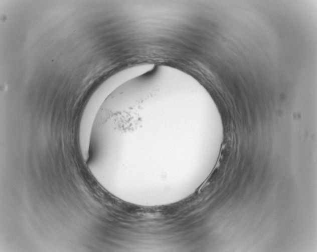 X0000088640552200706221548