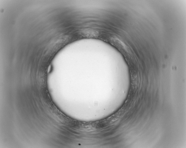 X0000088640553200706221548