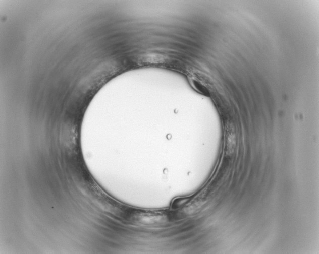 X0000088640555200706221548