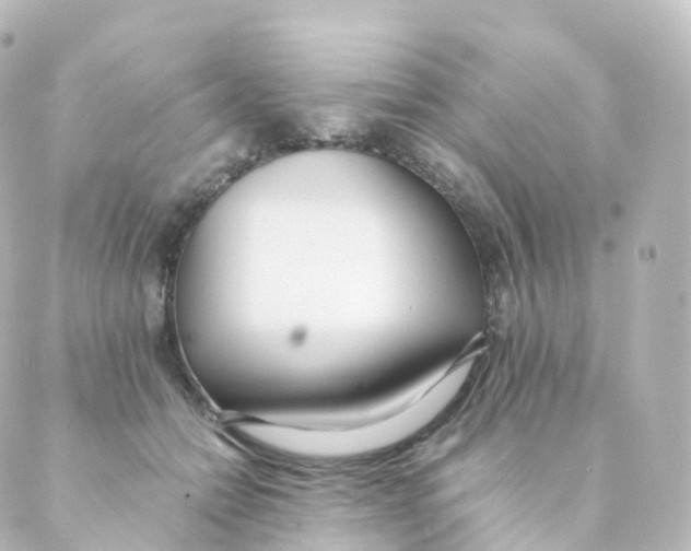 X0000088640558200706221548