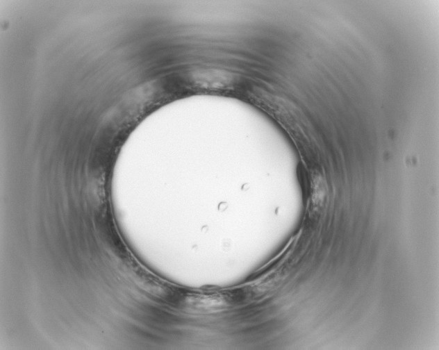 X0000088640559200706221548