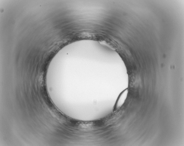 X0000088640560200706221548