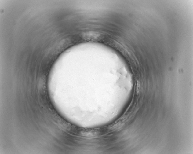 X0000088640561200706221548