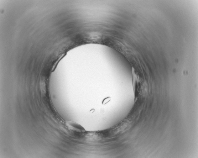 X0000088640562200706221548