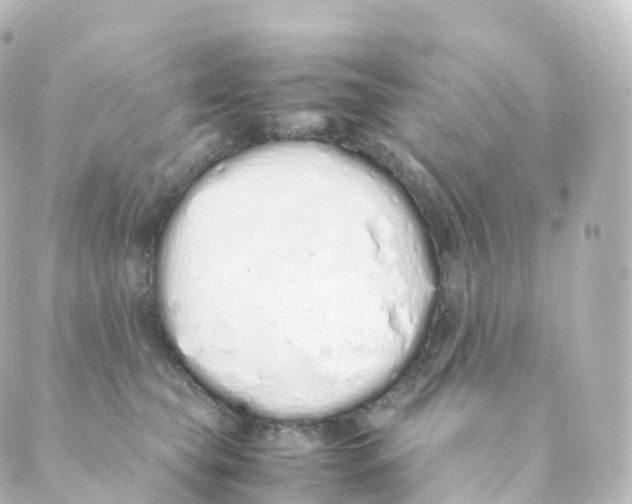 X0000088640565200706221548