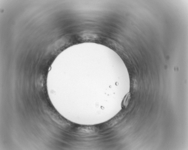 X0000088640567200706221548