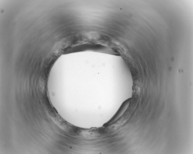 X0000088640568200706221548