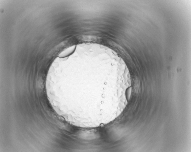 X0000088640569200706221548