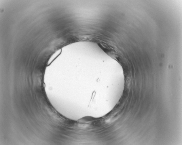 X0000088640570200706221548