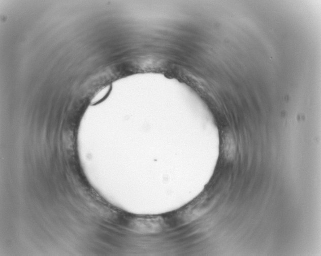 X0000088640571200706221548