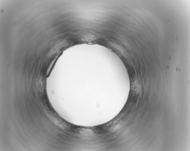 X0000088640572200706221548