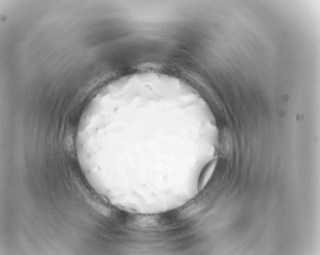 X0000088640573200706221549