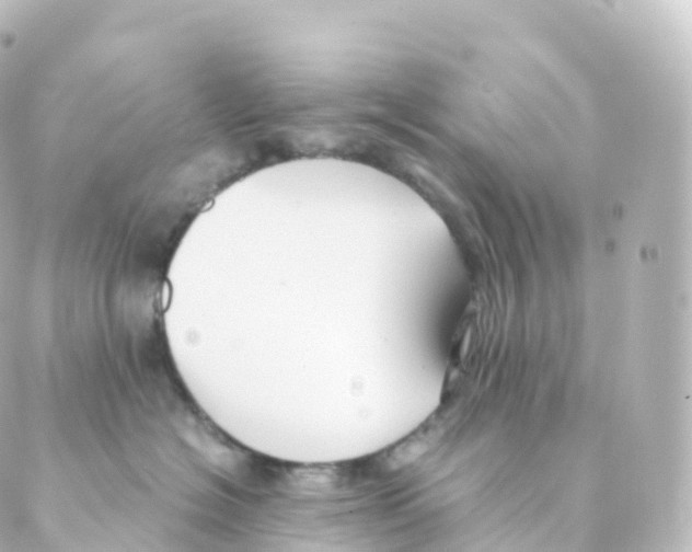 X0000088640574200706221549