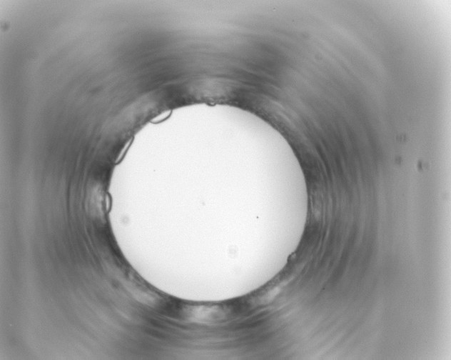 X0000088640575200706221549