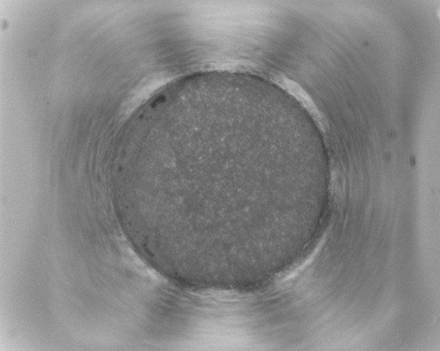 X0000088640577200706221548