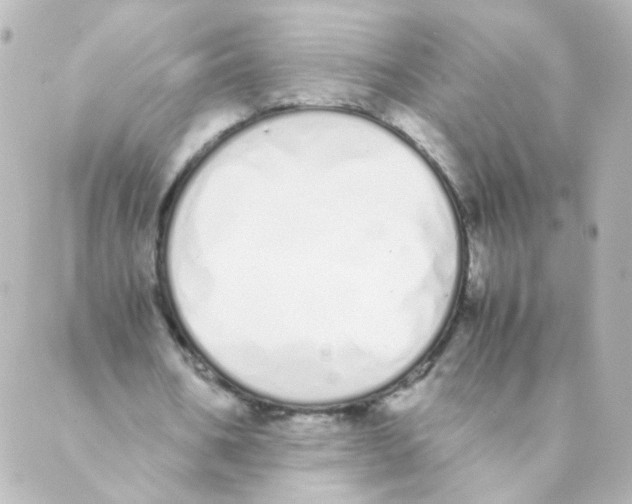 X0000088640578200706221548