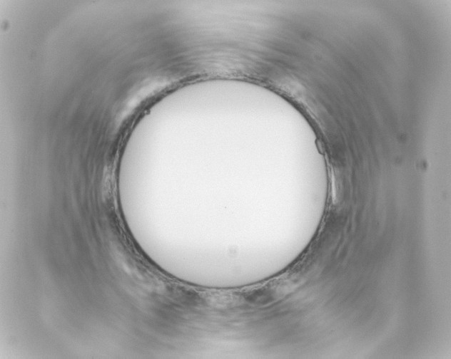 X0000088640579200706221548