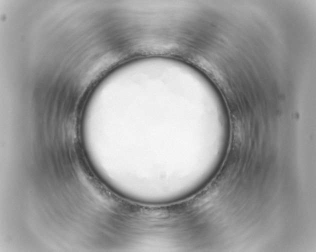 X0000088640582200706221548