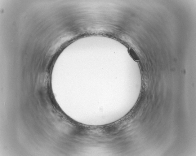 X0000088640583200706221548