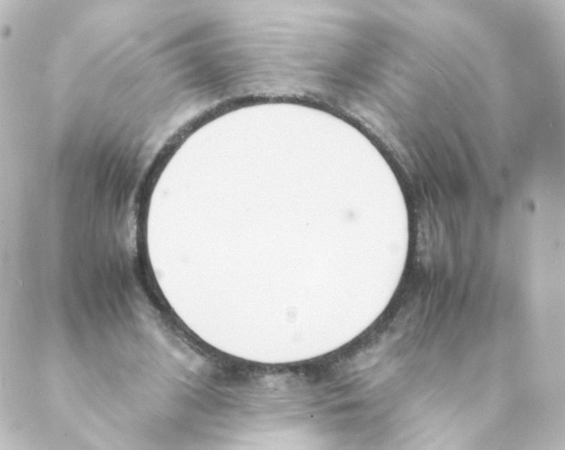 X0000088640584200706221548