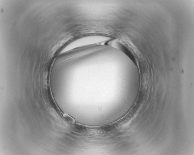 X0000088640585200706221548