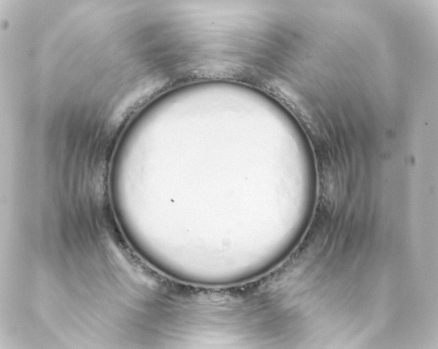 X0000088640586200706221548