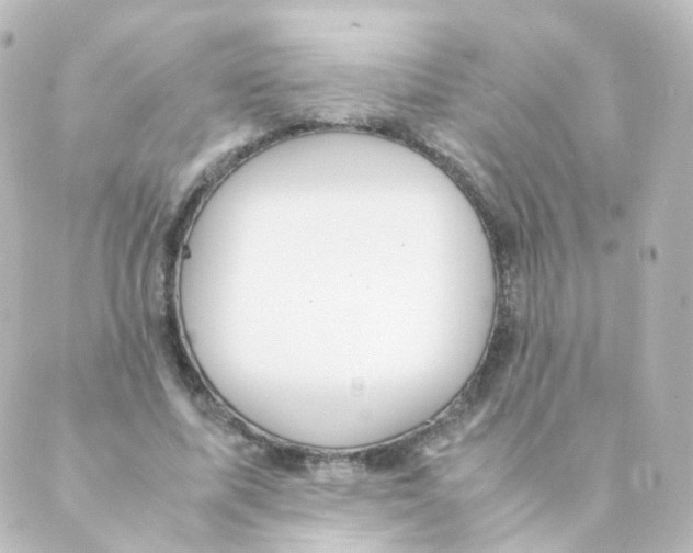 X0000088640587200706221548