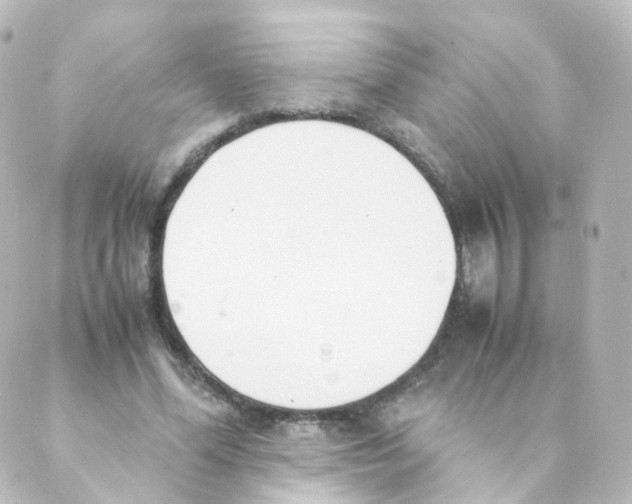 X0000088640588200706221548